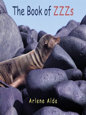 cover image of The Book of ZZZs